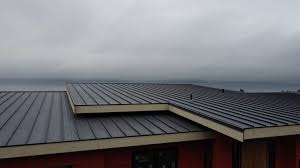 Best Metal Roofing Installation  in Swanton, OH